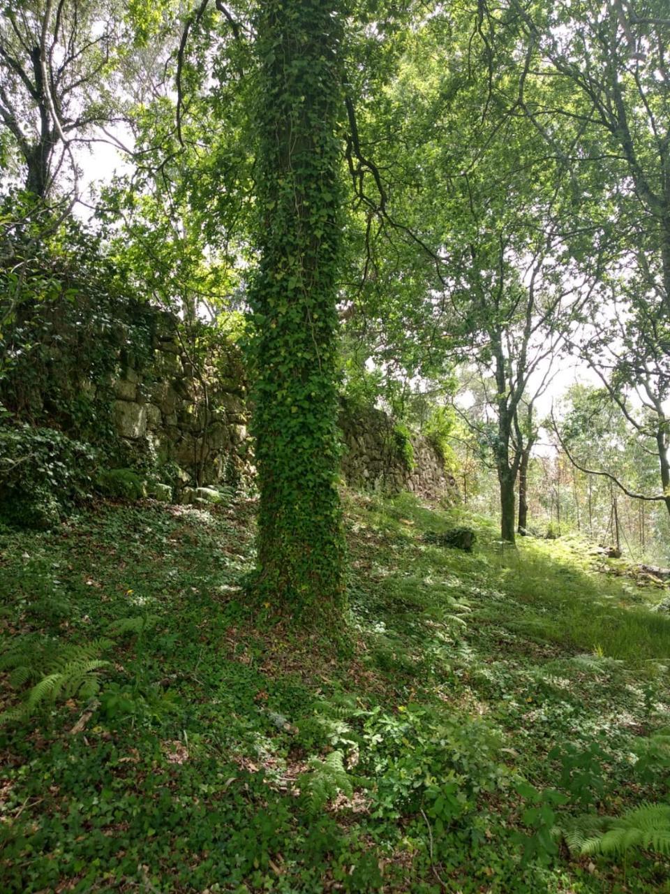 מלון טראס דה בורו Quinta Geres מראה חיצוני תמונה