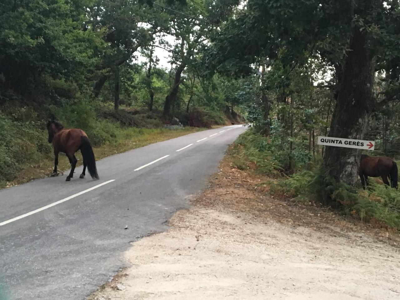 מלון טראס דה בורו Quinta Geres מראה חיצוני תמונה